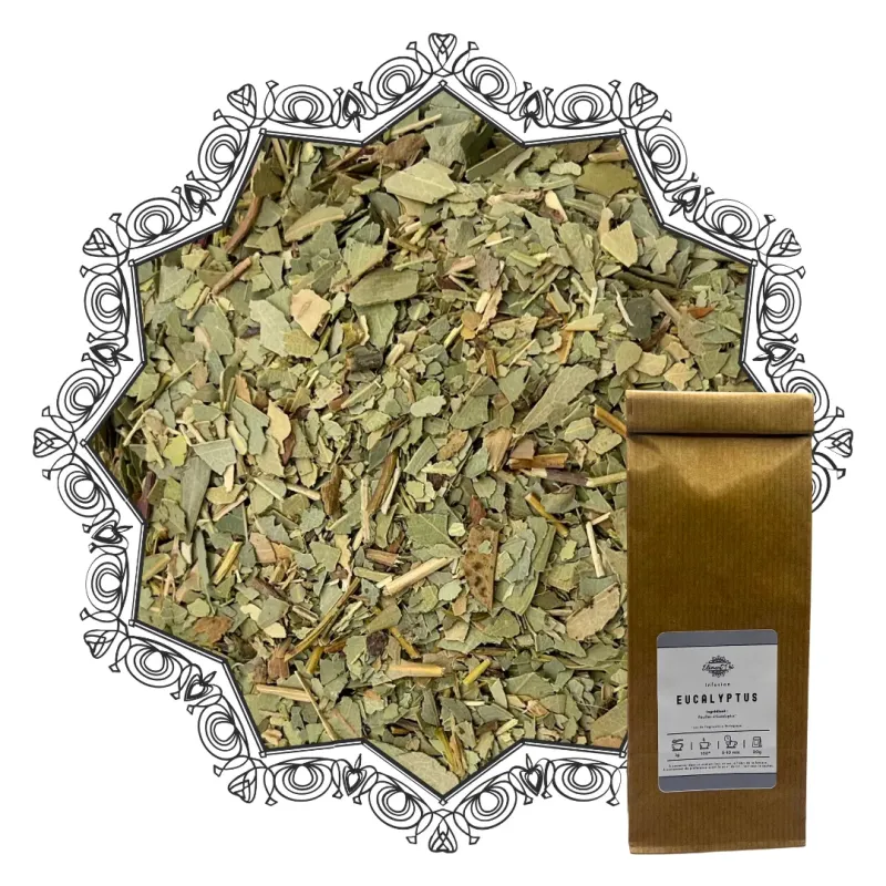 Infusion Eucalyptus Bio | Notes fraîches & boisées – Air