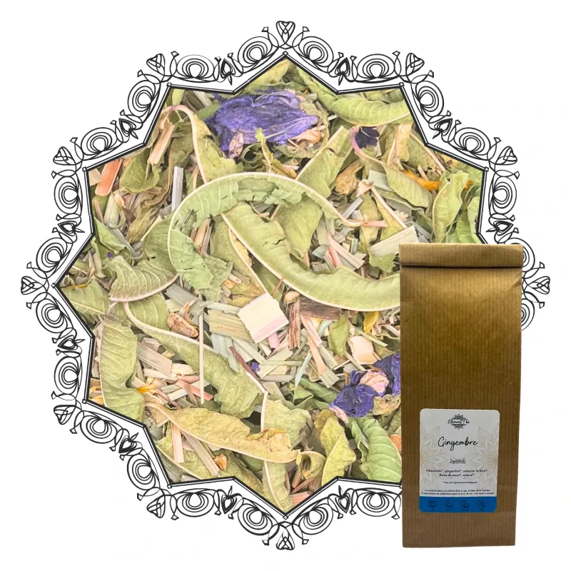 Infusion Gingembre Bio – Élément Eau | Tonique & apaisante